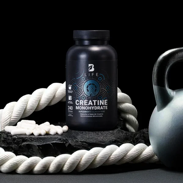 Creatine Monohydrate Powder 120 porciones